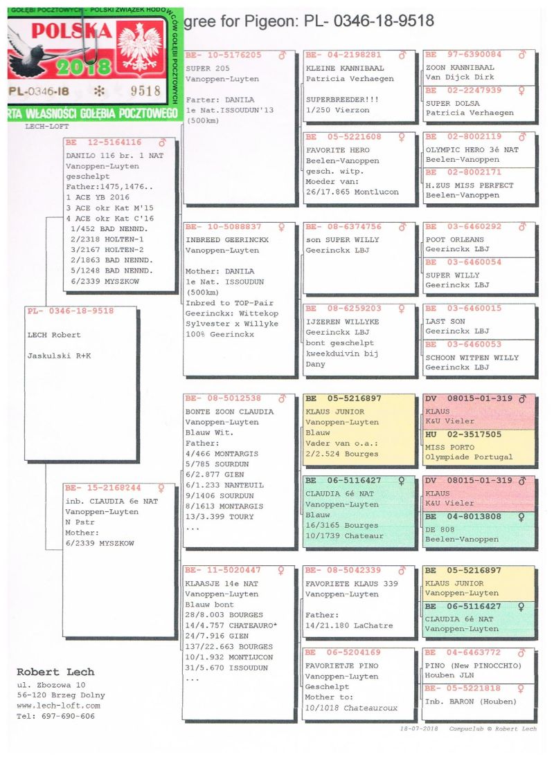PL 0346 18 9518 Oryg ROBERT LECH Inbred CLAUDIA 6 Narodowy