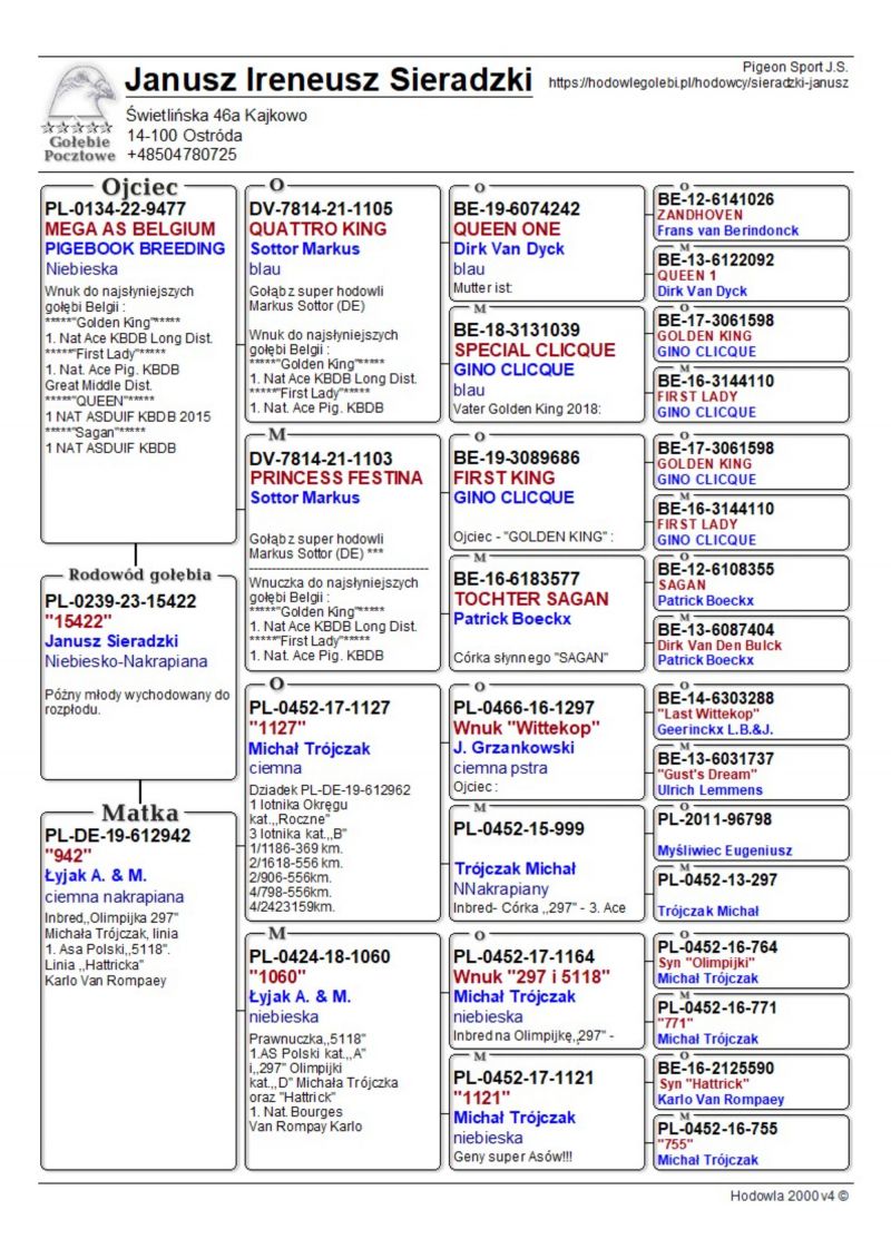 Pl Oryg J Sieradzki Wnuk Golden King First Lady Queen